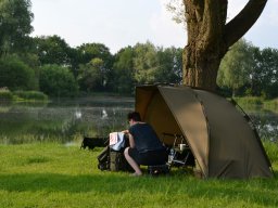 Competities HSV Alfheim